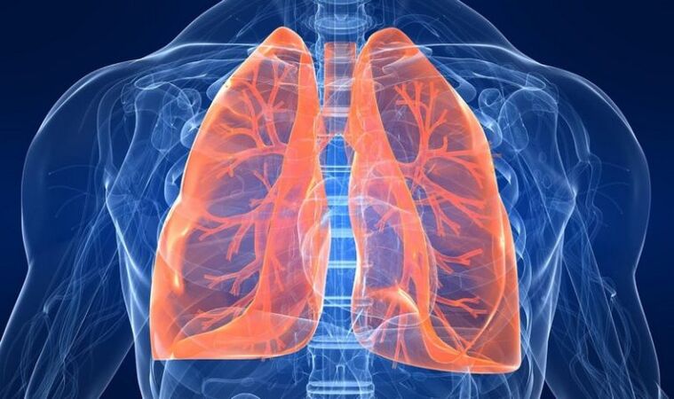 patologi paru-paru sebagai punca kesakitan di bawah tulang belikat kiri
